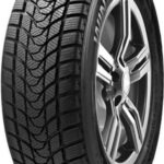 Шина DELINTE Winter WD1 245/45 R19 98S