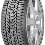 Шина Sava Eskimo HP2 205/50 R17 93V