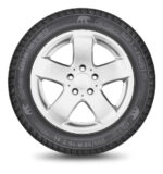 Шина Gislaved Soft Frost 200 215/55 R17 98T — изображение 3