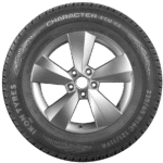 Шина Ikon Character Eco C2 195/75 R16 107S — изображение 2