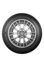 Шина Torero MPS530 195/75 R16 107R — изображение 3
